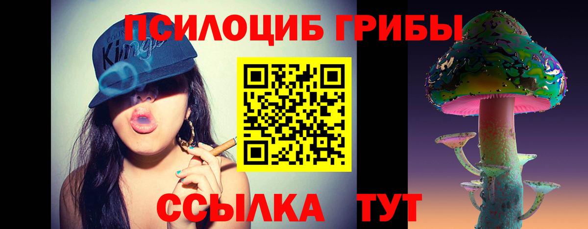 Галлюциногенные грибы Psilocybine cubensis Кувандык