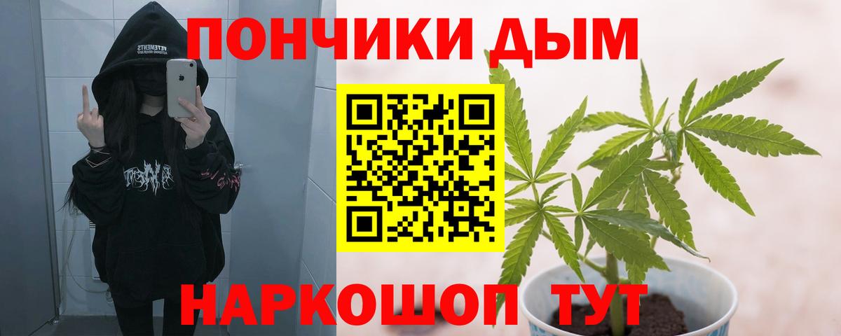 Бошки марихуана ГИДРОПОН  Марихуана сатива  Кувандык  Вход с VPN  Каннабис Amnesia 